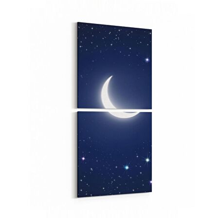 Olla 14829K2D Gece Gökyüzü Görseli Kare 2'li Dikey Kanvas Tablo (Ölçü: 30X65)