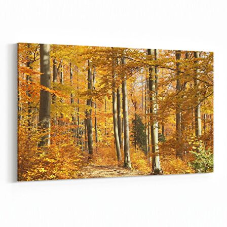 Olla 14576Y Doğa / Manzara Görseli Yatay Kanvas Tablo (Ölçü: 30X20)