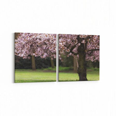 Olla 13444K2Y Doğa / Manzara Görseli Kare 2'li Yatay Kanvas Tablo (Ölçü: 145X70)