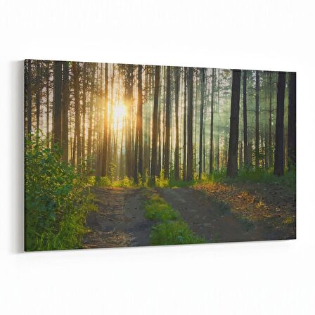 Olla 13833Y Doğa / Manzara Görseli Yatay Kanvas Tablo (Ölçü: 120X80)