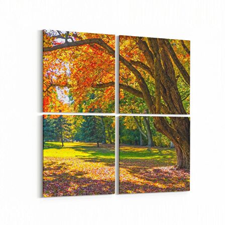 Olla 13980K4 Doğa / Manzara Görseli Kare 4'lü Kanvas Tablo (Ölçü: 65X65)