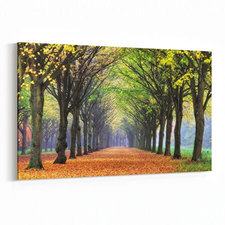 Olla 13411Y Doğa / Manzara Görseli Yatay Kanvas Tablo (Ölçü: 120X80)