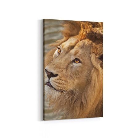 Olla 12563D Hayvanlar Alemi Görseli Dikey Kanvas Tablo (Ölçü: 60X90)