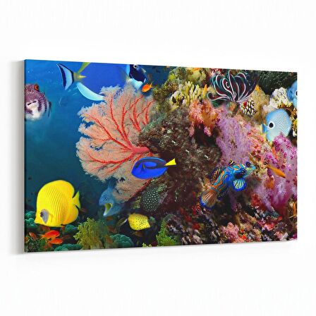 Olla 12109Y Akvaryum / Balık Görseli Yatay Kanvas Tablo (Ölçü: 45X30)