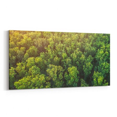 Olla 13244YD Doğa / Manzara Görseli Yatay Dar Kanvas Tablo (Ölçü: 60X30)