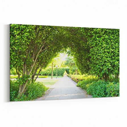 Olla 13639Y Doğa / Manzara Görseli Yatay Kanvas Tablo (Ölçü: 90X60)