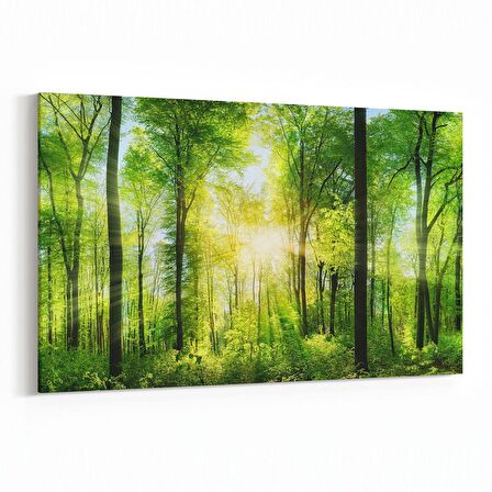 Olla 13838Y Doğa / Manzara Görseli Yatay Kanvas Tablo (Ölçü: 90X60)