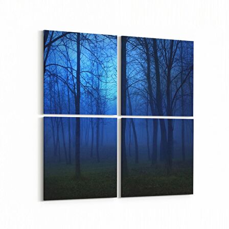 Olla 14492K4 Doğa / Manzara Görseli Kare 4'lü Kanvas Tablo (Ölçü: 145X145)