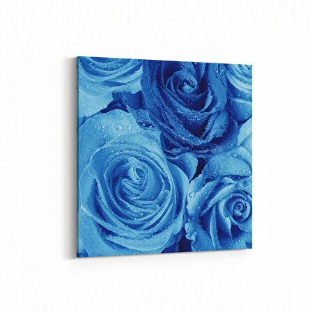 Olla 11598K Çiçek Görseli Kare Kanvas Tablo (Ölçü: 25X25)