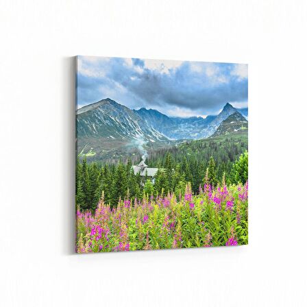 Olla 14360K Doğa / Manzara Görseli Kare Kanvas Tablo (Ölçü: 25X25)