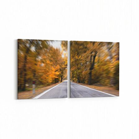 Olla 13306K2Y Doğa / Manzara Görseli Kare 2'li Yatay Kanvas Tablo (Ölçü: 85X40)