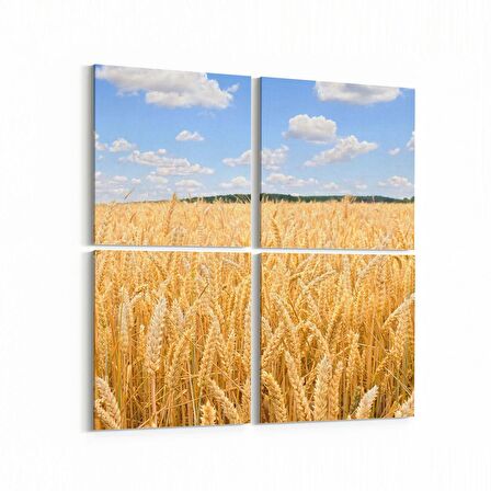 Olla 14284K4 Doğa / Manzara Görseli Kare 4'lü Kanvas Tablo (Ölçü: 65X65)