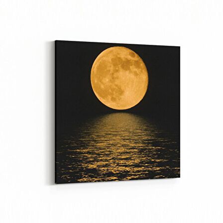 Olla 14648K Gece Gökyüzü Görseli Kare Kanvas Tablo (Ölçü: 25X25)