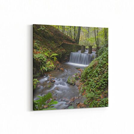 Olla 13919K Doğa / Manzara Görseli Kare Kanvas Tablo (Ölçü: 30X30)