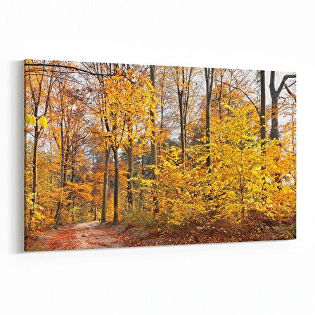 Olla 13280Y Doğa / Manzara Görseli Yatay Kanvas Tablo (Ölçü: 30X20)