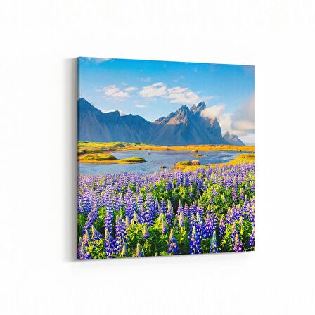 Olla 14196K Doğa / Manzara Görseli Kare Kanvas Tablo (Ölçü: 30X30)