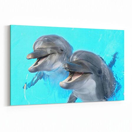 Olla 12918Y Deniz / Okyanus Görseli Yatay Kanvas Tablo (Ölçü: 90X60)