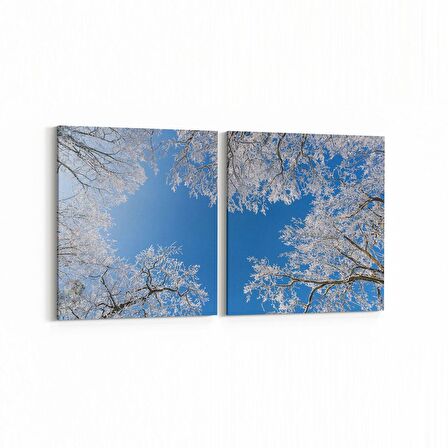 Olla 10473K2Y Ağaç Görseli Kare 2'li Yatay Kanvas Tablo (Ölçü: 125X60)