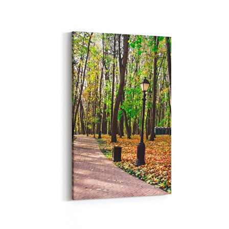 Olla 13549D Doğa / Manzara Görseli Dikey Kanvas Tablo (Ölçü: 60X90)