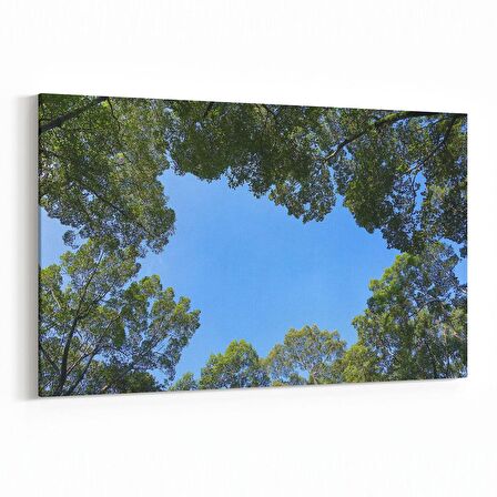 Olla 10984Y Ağaç Görseli Yatay Kanvas Tablo (Ölçü: 150X100)
