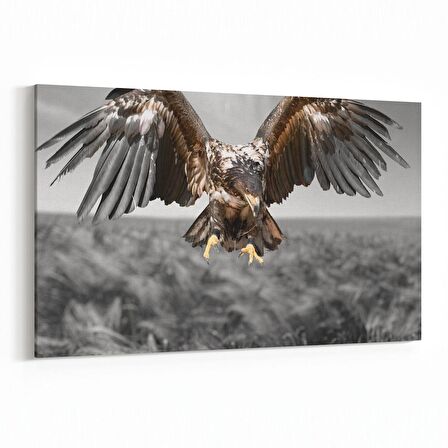 Olla 12566Y Hayvanlar Alemi Görseli Yatay Kanvas Tablo (Ölçü: 120X80)