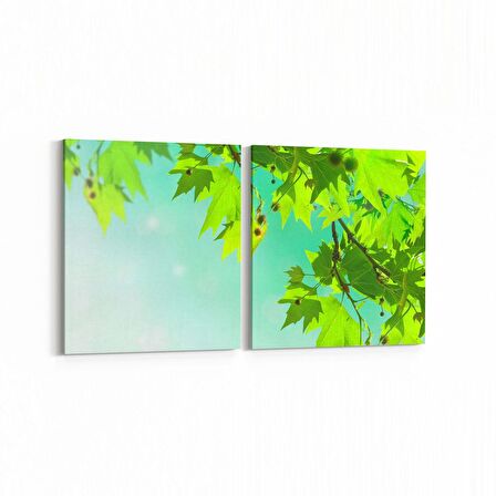 Olla 11044K2Y Ağaç Görseli Kare 2'li Yatay Kanvas Tablo (Ölçü: 65X30)