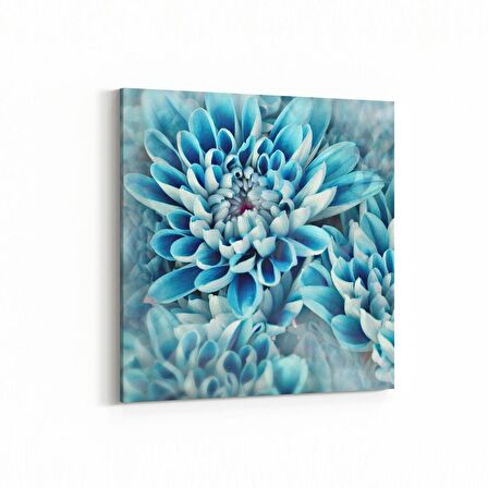 Olla 11649K Çiçek Görseli Kare Kanvas Tablo (Ölçü: 30X30)