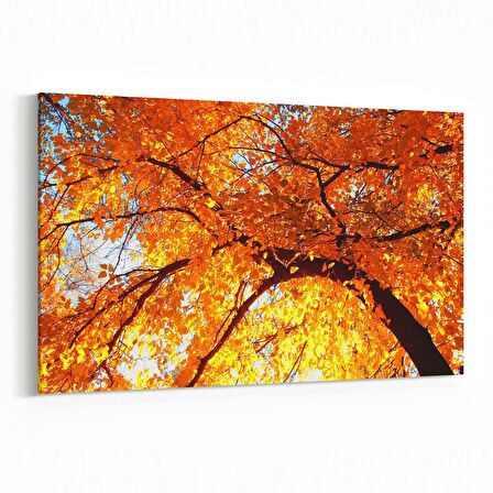 Olla 10610Y Ağaç Görseli Yatay Kanvas Tablo (Ölçü: 120X80)