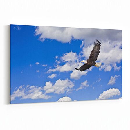 Olla 15878Y Gökyüzü Kuşlar Görseli Yatay Kanvas Tablo (Ölçü: 150X100)