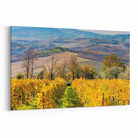 Olla 14170Y Doğa / Manzara Görseli Yatay Kanvas Tablo (Ölçü: 70X50)