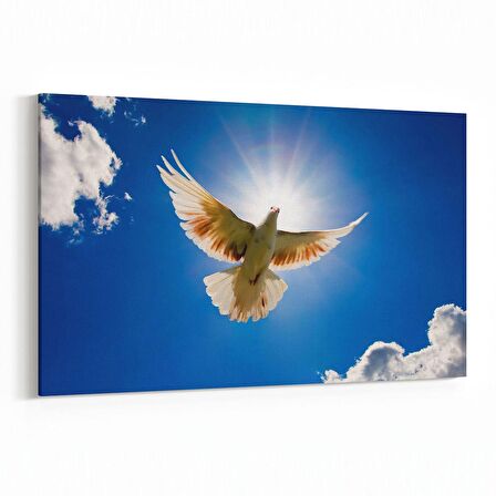 Olla 15858Y Gökyüzü Kuşlar Görseli Yatay Kanvas Tablo (Ölçü: 70X50)