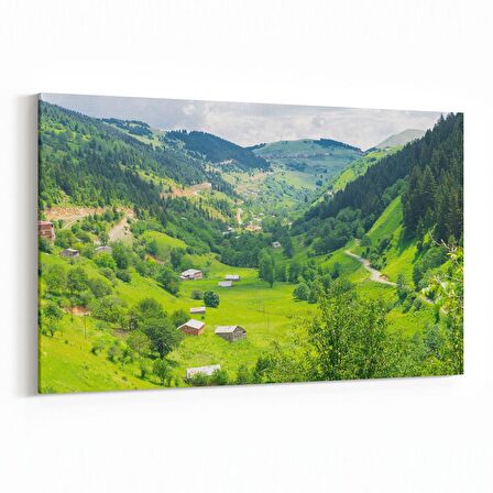 Olla 14203Y Doğa / Manzara Görseli Yatay Kanvas Tablo (Ölçü: 150X100)