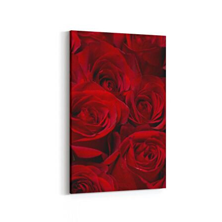 Olla 11557D Çiçek Görseli Dikey Kanvas Tablo (Ölçü: 40X60)