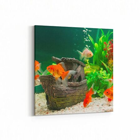 Olla 12780K Çocuk Odası Görseli Kare Kanvas Tablo (Ölçü: 30X30)