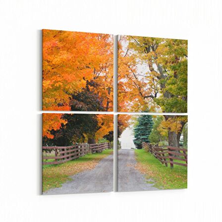 Olla 13293K4 Doğa / Manzara Görseli Kare 4'lü Kanvas Tablo (Ölçü: 65X65)