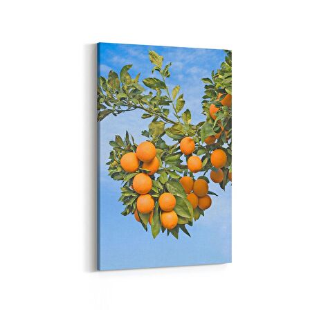 Olla 15207D Gıda Görseli Dikey Kanvas Tablo (Ölçü: 20X30)