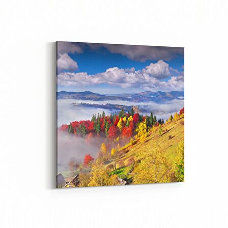 Olla 13732K Doğa / Manzara Görseli Kare Kanvas Tablo (Ölçü: 30X30)