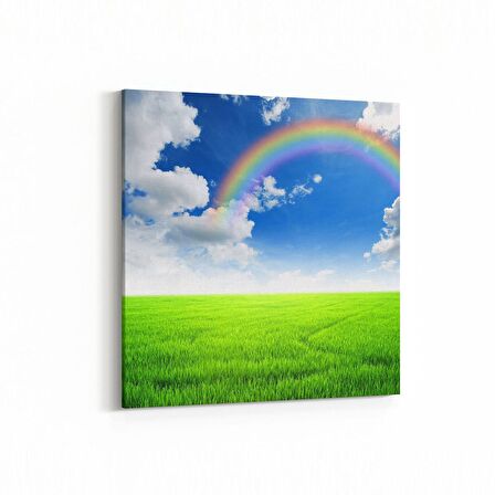 Olla 14609K Doğa / Manzara Görseli Kare Kanvas Tablo (Ölçü: 25X25)