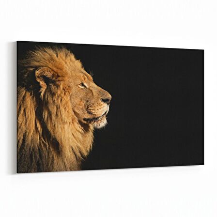 Olla 12559Y Hayvanlar Alemi Görseli Yatay Kanvas Tablo (Ölçü: 120X80)