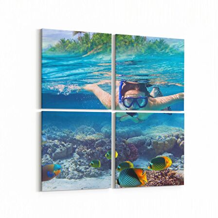 Olla 12076K4 Akvaryum / Balık Görseli Kare 4'lü Kanvas Tablo (Ölçü: 145X145)