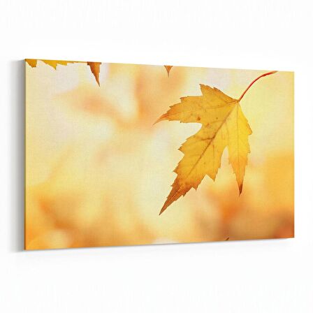 Olla 11040Y Ağaç Görseli Yatay Kanvas Tablo (Ölçü: 30X20)