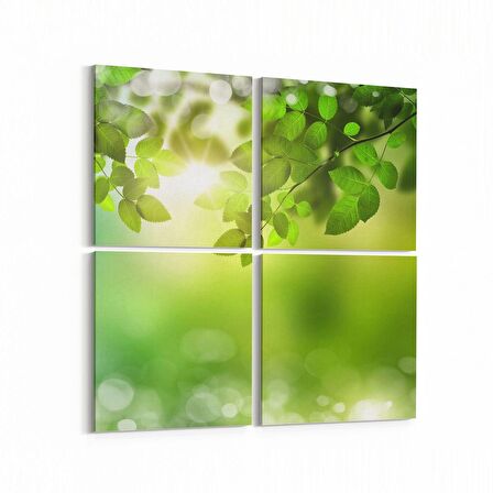 Olla 10715K4 Ağaç Görseli Kare 4'lü Kanvas Tablo (Ölçü: 145X145)