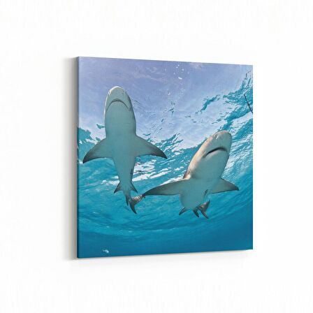 Olla 12953K Deniz / Okyanus Görseli Kare Kanvas Tablo (Ölçü: 25X25)