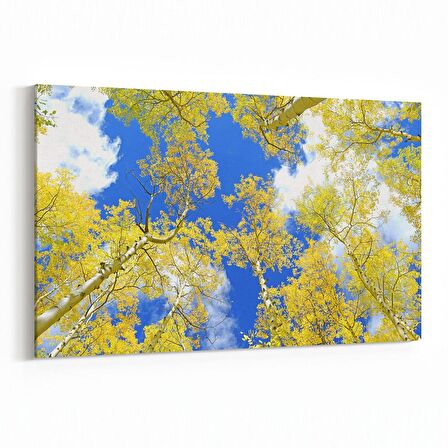 Olla 10626Y Ağaç Görseli Yatay Kanvas Tablo (Ölçü: 30X20)