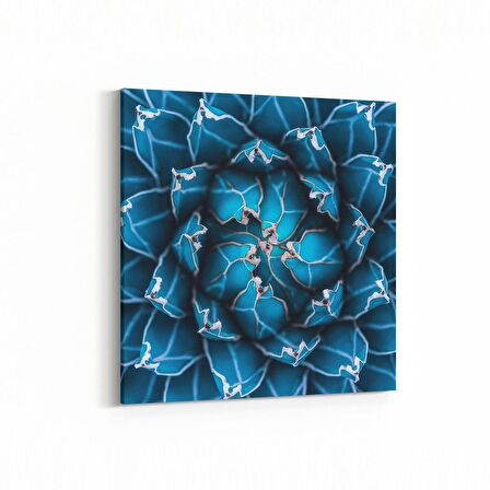 Olla 10061K Abstract Görsel Kare Kanvas Tablo (Ölçü: 25X25)