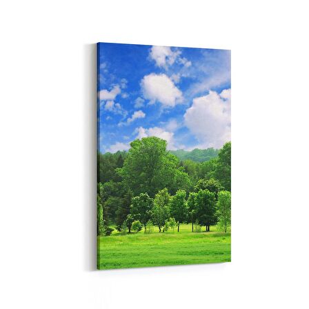 Olla 13859D Doğa / Manzara Görseli Dikey Kanvas Tablo (Ölçü: 80X120)
