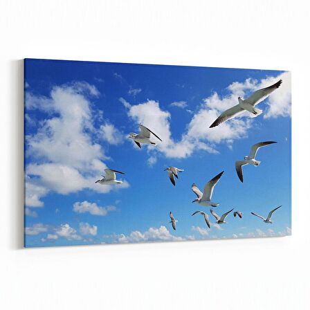 Olla 15823Y Gökyüzü Kuşlar Görseli Yatay Kanvas Tablo (Ölçü: 45X30)