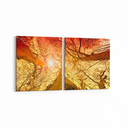 Olla 10738K2Y Ağaç Görseli Kare 2'li Yatay Kanvas Tablo (Ölçü: 145X70)