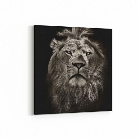 Olla 12501K Hayvanlar Alemi Görseli Kare Kanvas Tablo (Ölçü: 30X30)