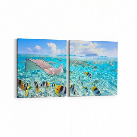 Olla 12066K2Y Akvaryum / Balık Görseli Kare 2'li Yatay Kanvas Tablo (Ölçü: 145X70)